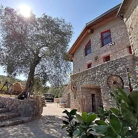 Prima Ausonia
